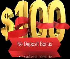 Free Spins or Bonus Cash